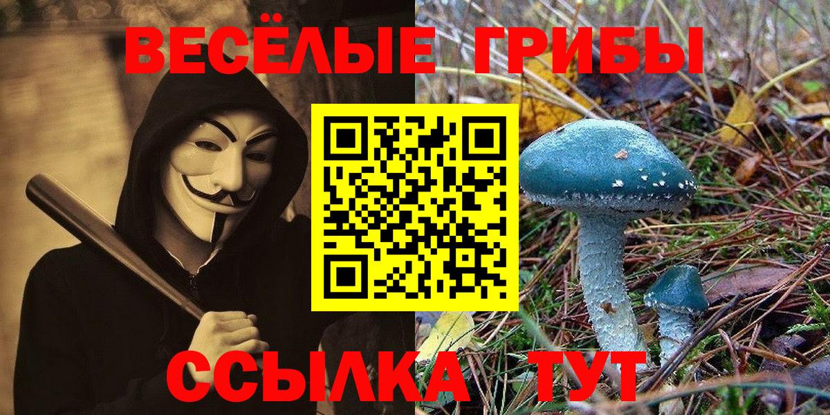 Сертолово  дарнет шоп  Вход с VPN  Псилоцибиновые грибы ЛСД  Галлюциногенные грибы Psilocybe 